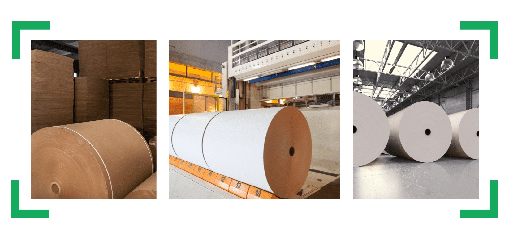 papier w rolach transport